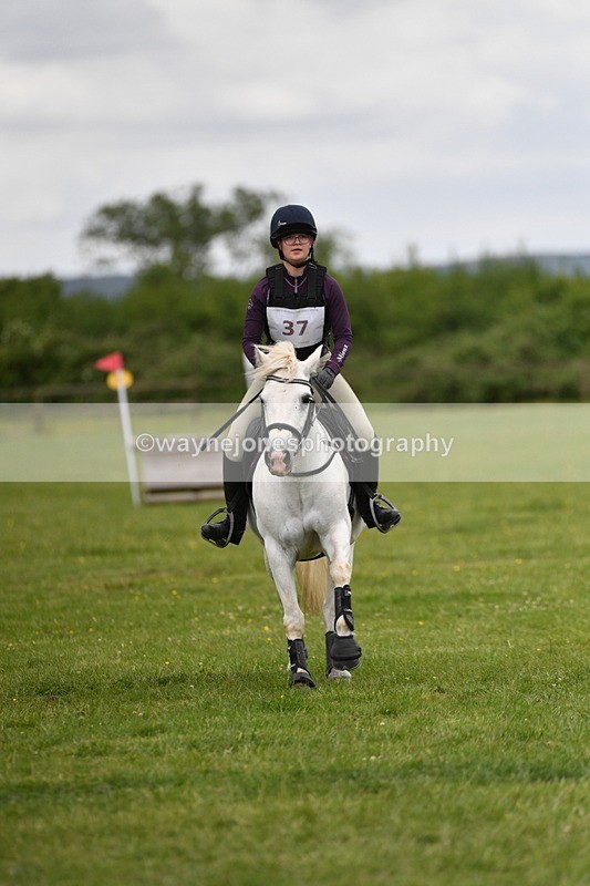 WJ5_3585 - Class 6 80cm