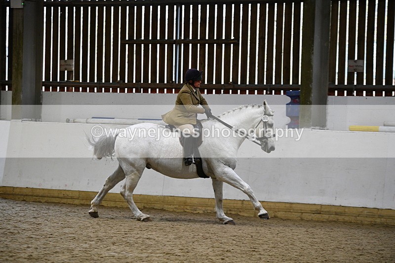 WJ5_9057 - Class 15 Ridden Show Horse