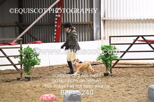 BPP_5240 - CLASS 5 HORSE AND HOUND