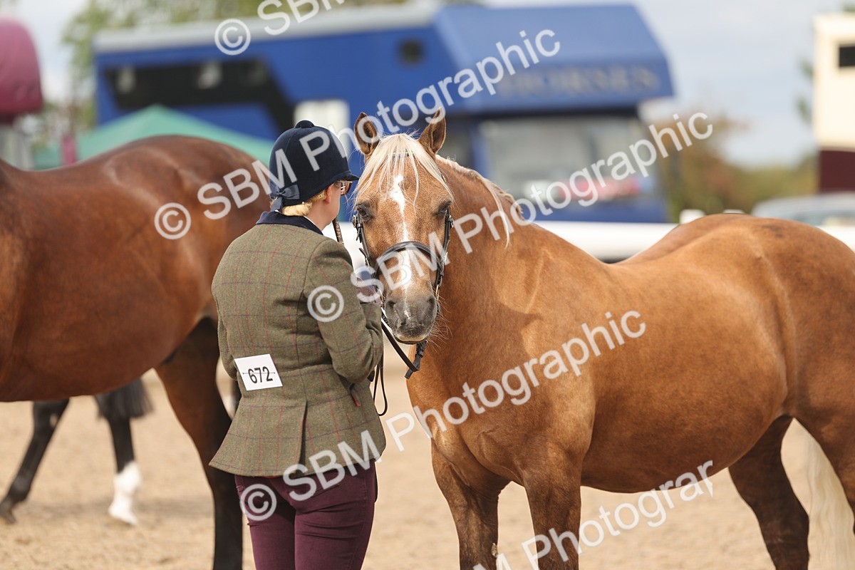 SBM_05009 - Class 20 - IH Veteran