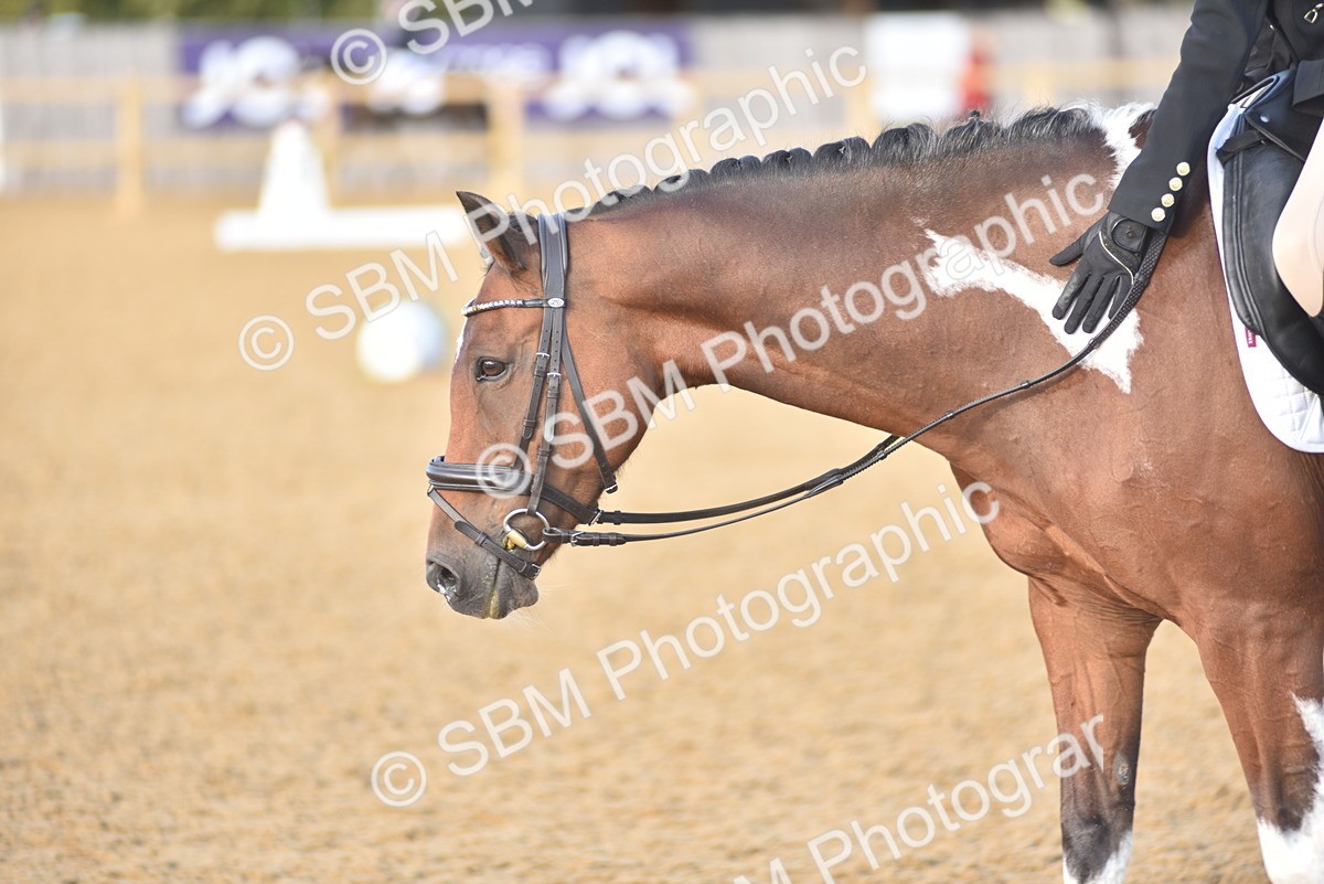 SBM_53431 - D24 - Junior Championship Prelim 3