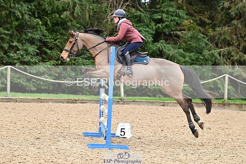 250201A-120330-00578 - Cls 02 Local Horse 100cm