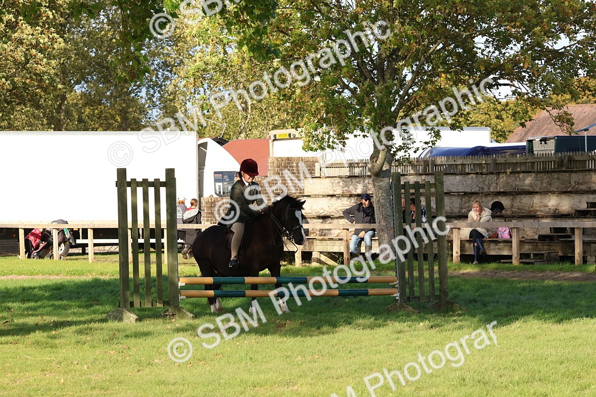 SBM_52545 - S13 - Pony Club Pony