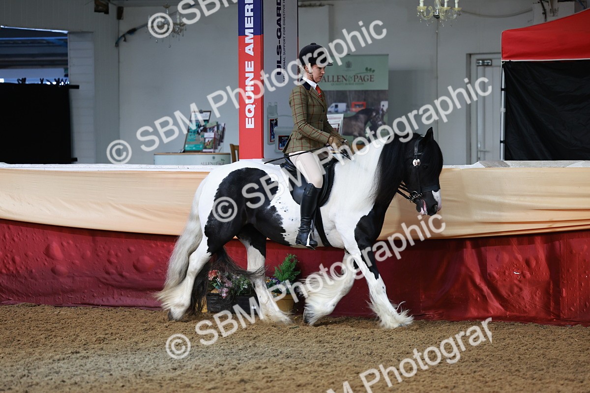 SBM_11809 - Class 102 - Equitation (Best Rider) Adult