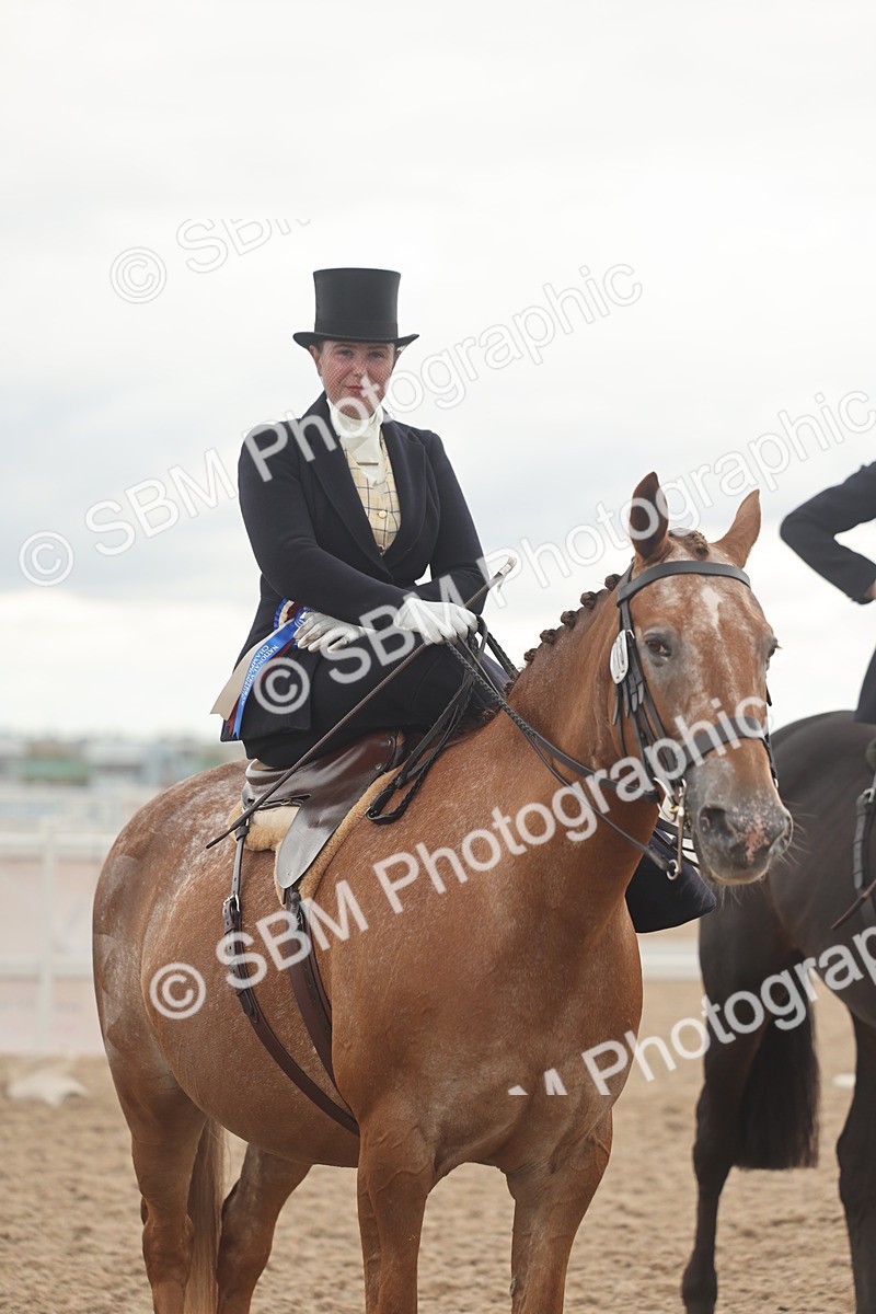 SBM_06302 - Class 23 - SSA - Classical