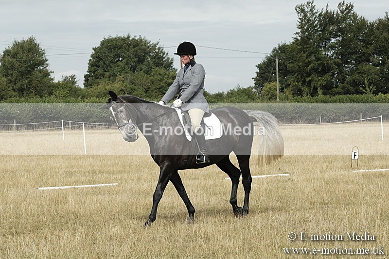 _PJP5625 - Dressage Classes BVRC Show 2018
