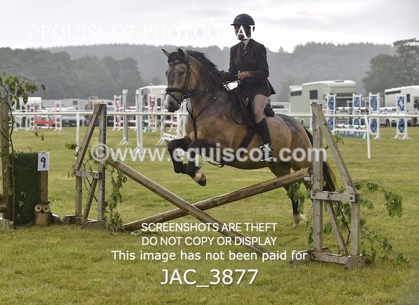 JAC_3877 - 55cm WORKING HUNTER