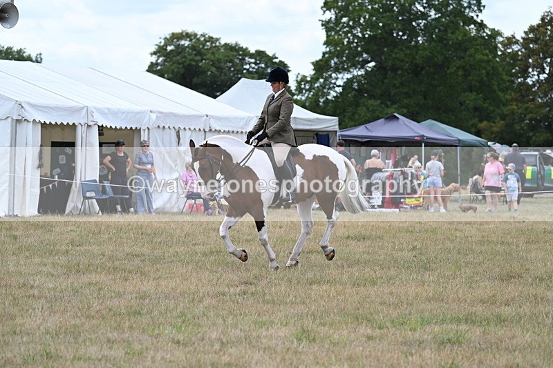 WJ7_5081 - Class 12 Ridden Cob