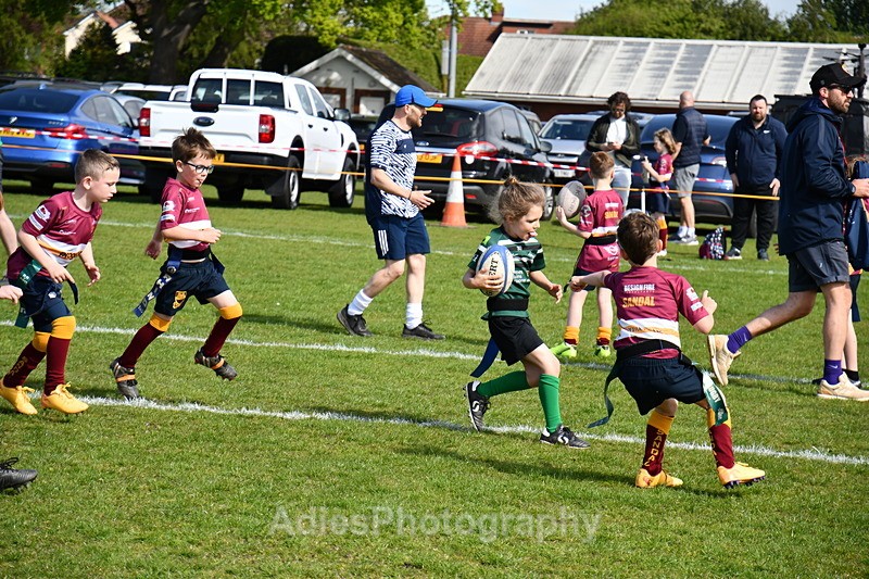  - Selby Rugby Festival 2025