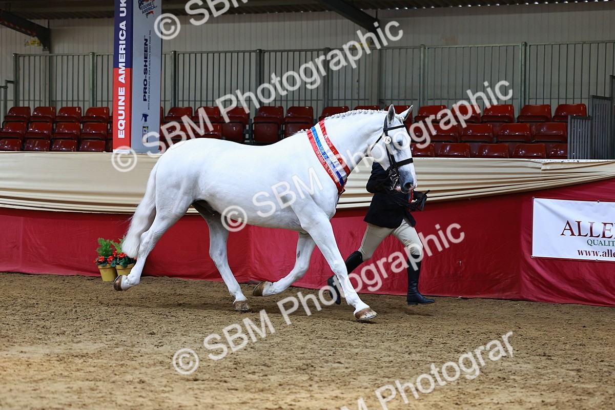 SBM_23056 - Supreme Final - IH  Champ