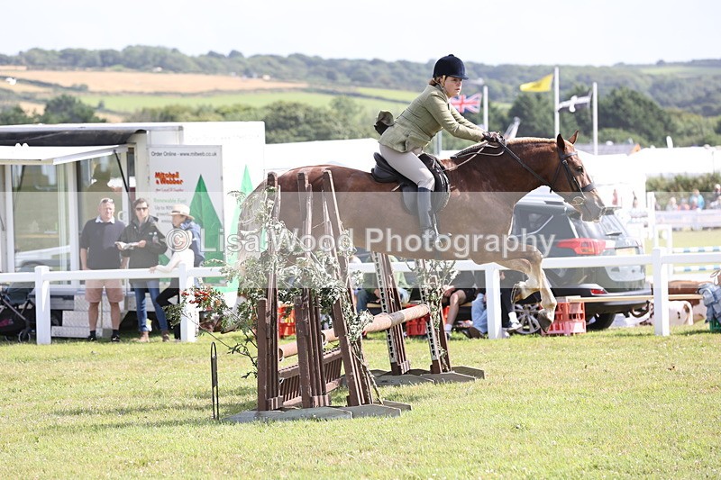 JPP_2535 - Class 20: Working Hunter 70cm