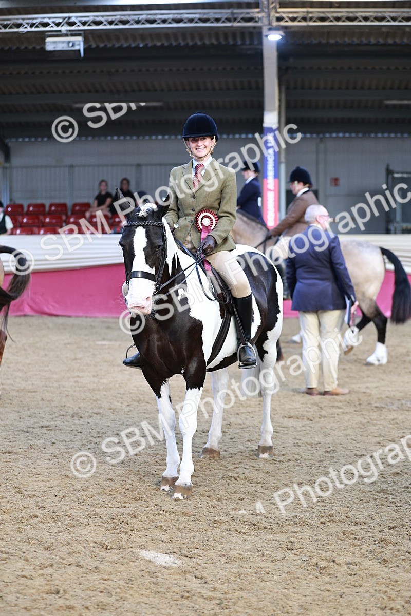 SBM_09143 - Class 12R - Regional Ridden Pre-Vet