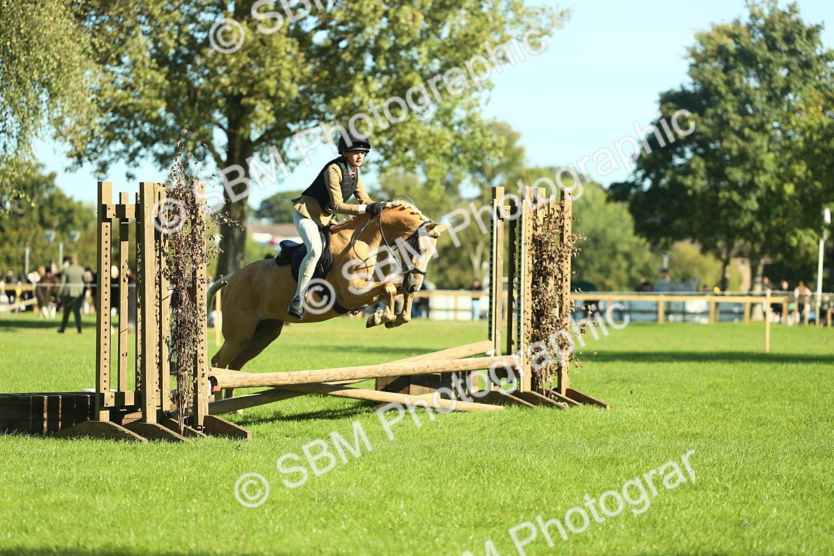 SBM_37473 - S29 - Novice & Newcomers Working Hunter Pony