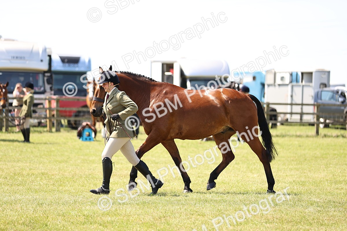 SBM_15188 - Class 79-80 - LIHS BSHA Rising Star Ridden Hunter
