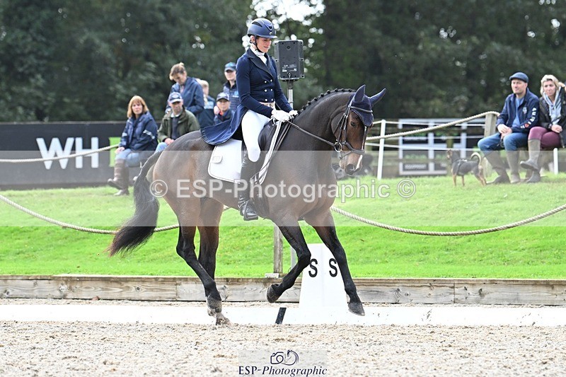 231019-145353-04308 - 057-OVERTON.TILANA'S.GOLD-Claire.Deuten-DR