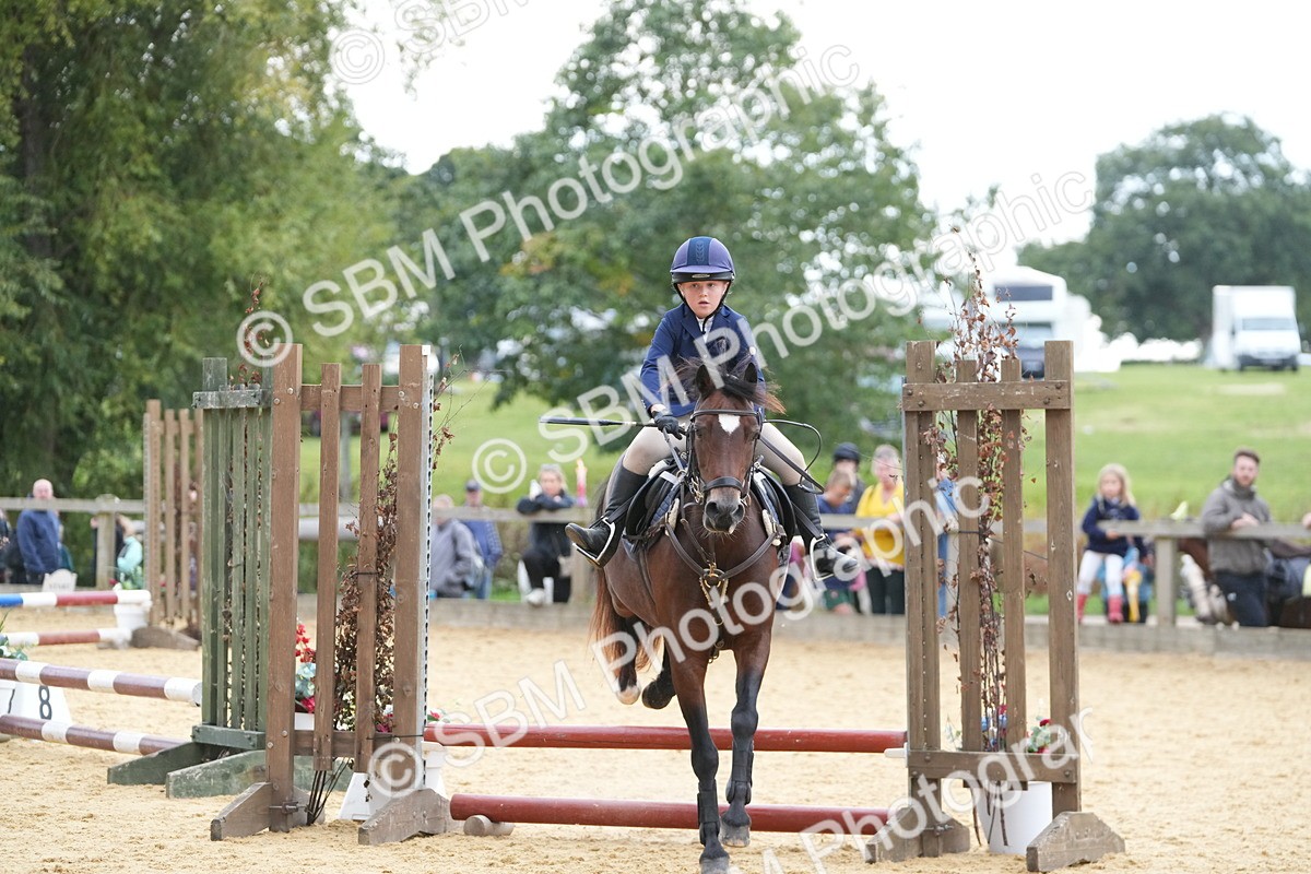 SBM_74642 - J4 - Mini Tour Junior Pony 45cm Championship