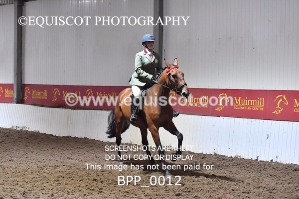 BPP_0012 - RING 2