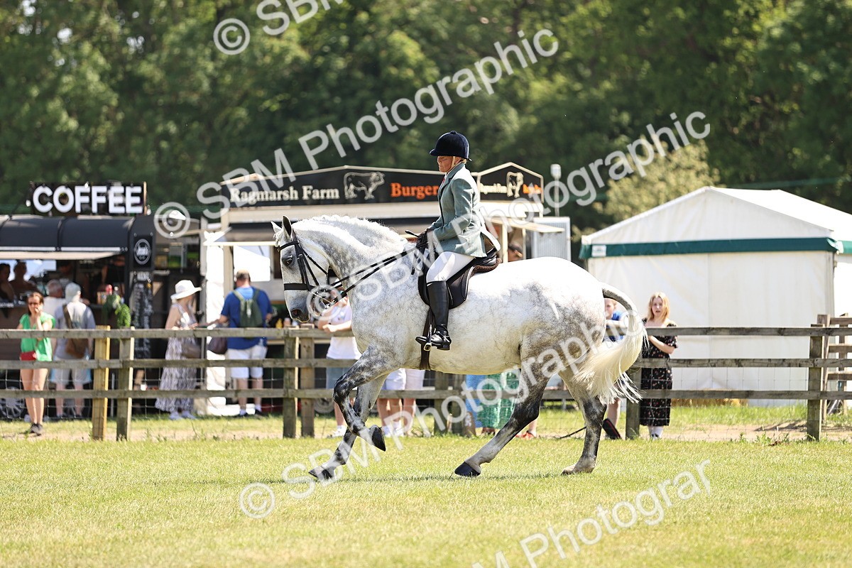 SBM_16158 - Class 79-80 - LIHS BSHA Rising Star Ridden Hunter