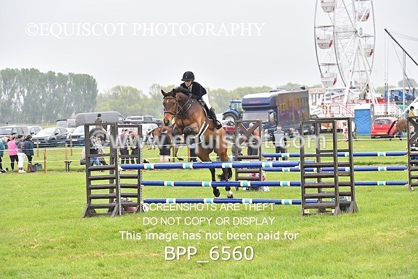 BPP_6560 - CLASS 1 Senior Newcomers/ 1.10m Open