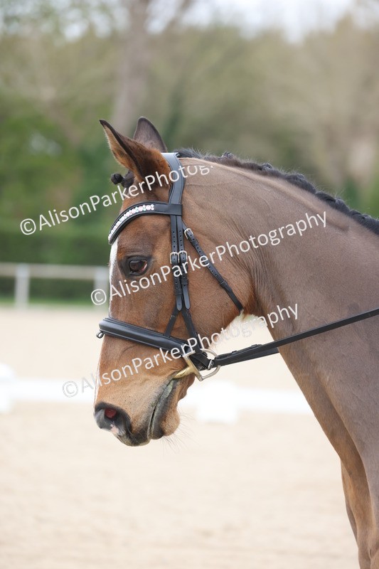 20260404-0176 - Class 2 - Intro 4