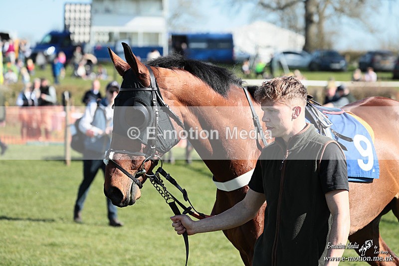 PtP 210326 218 - VWH Cirencester Races 21/03/26