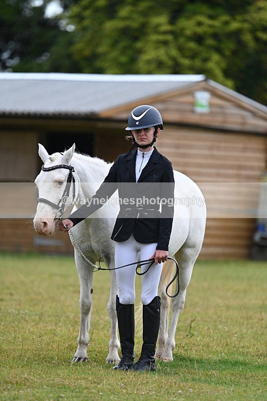 WJ7_5878 - Class 4 Prettiest Mare in Hand