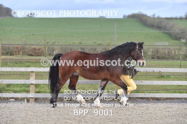 BPP_9001 - RING 2 - M&M