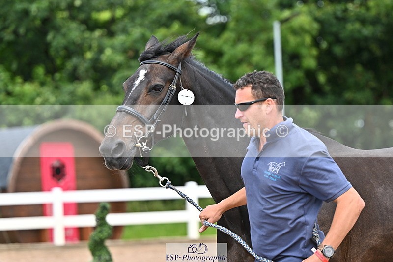 240718A-105321-01878 - Trot Up 1pm to 2pm