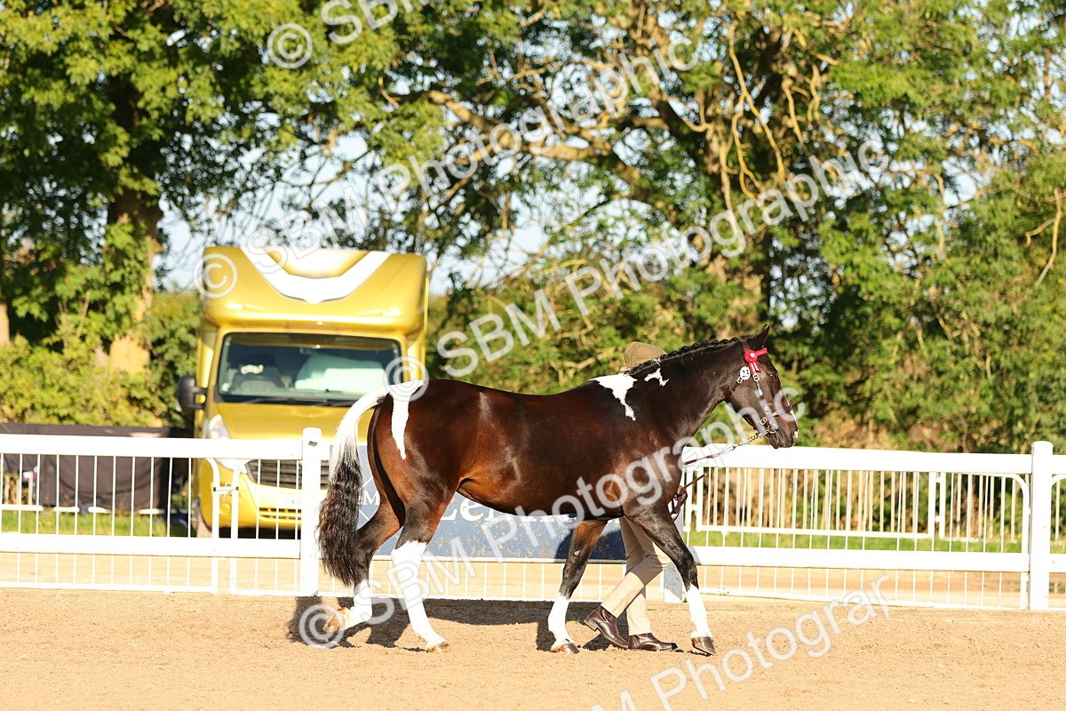SBM_07958