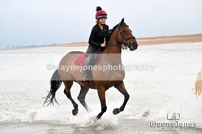 WJ7_9836 - Hayling Island Beach Shoot 22-09-24