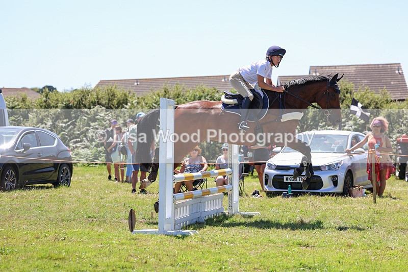 3E7A5470 - Class 9: Senior British Novice/90cm open
