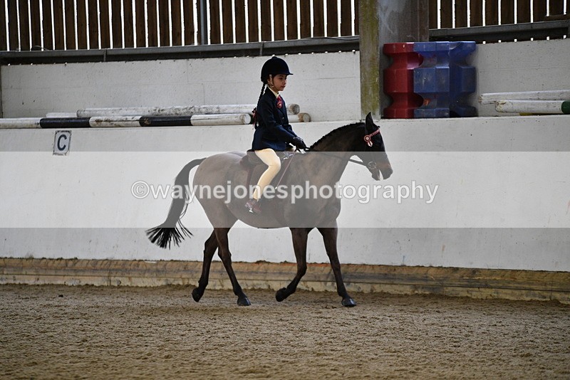 WJ5_6529 - Class 10 Childs Pony