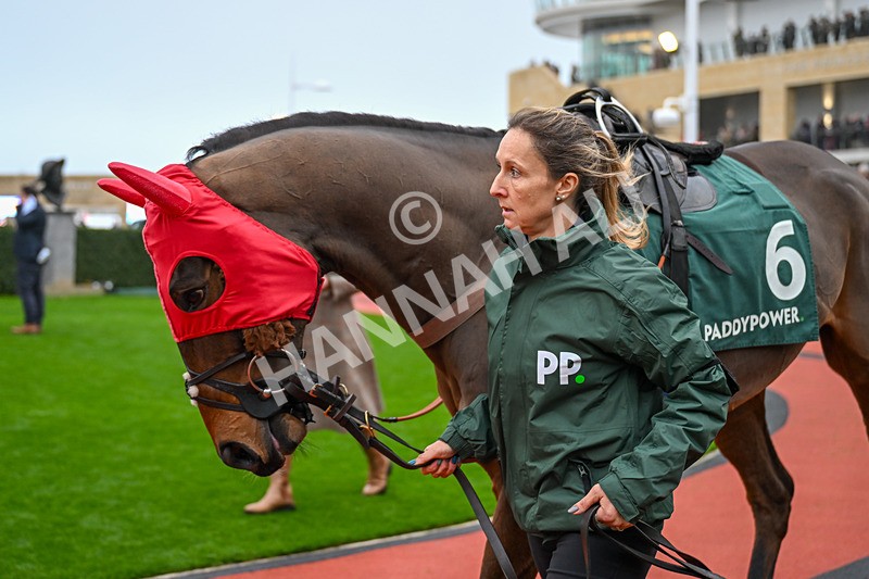 151125-Race 4-Il Ridoto-3102 - Race 4