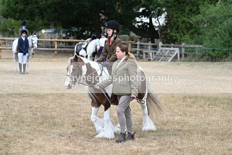 WJ7_6728 - Class 1 Lead Rein Pony