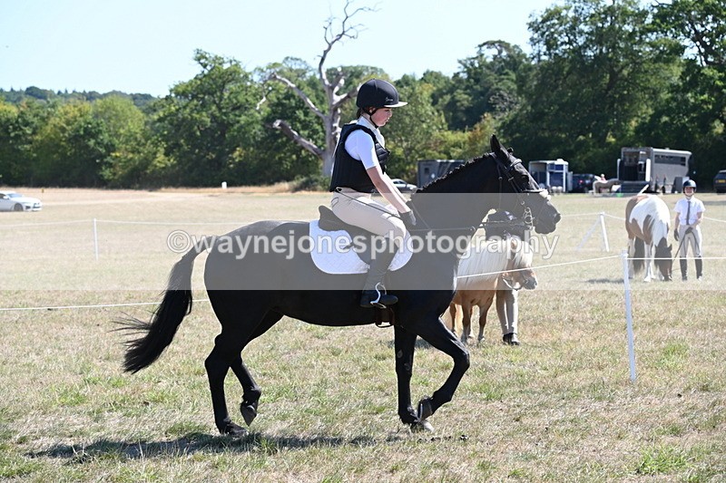 WJ6_8317 - Class 37a Best Loan Pony Ridden
