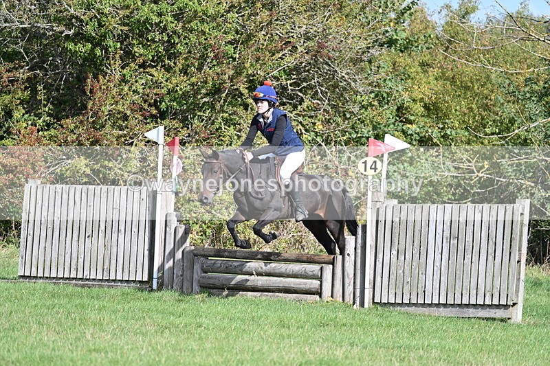 WJ7_8490 - 60cm Pairs