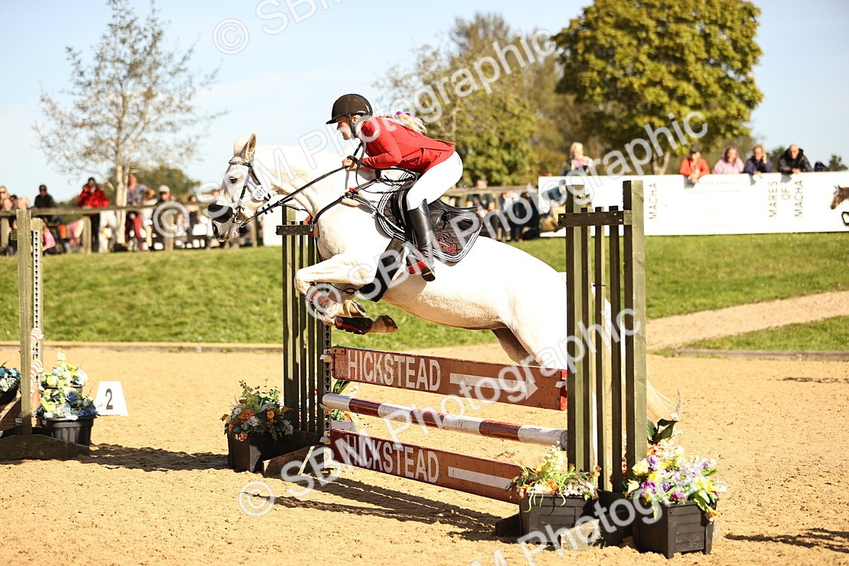 SBM_38169 - J39 - Senior 85cm Championship