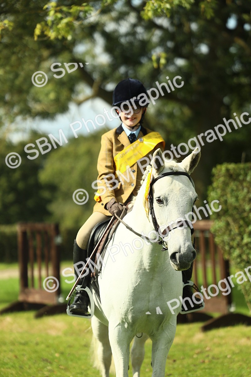 SBM_44997 - Working Hunter Pony Supreme Championship