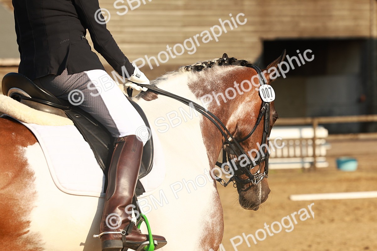 SBM_000500 - Class 7 - Elementary 2