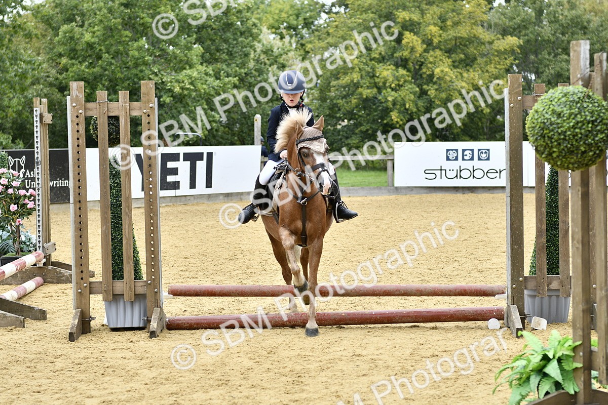 SBM_65466 - J2a mini Tour Junior Pony 30cm Championship