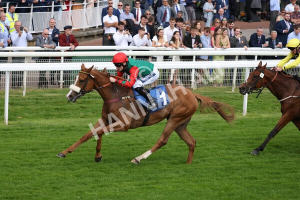 yr10062022r5-24 - Race 5 4.05pm Irish Thoroughbred Marketing Stakes