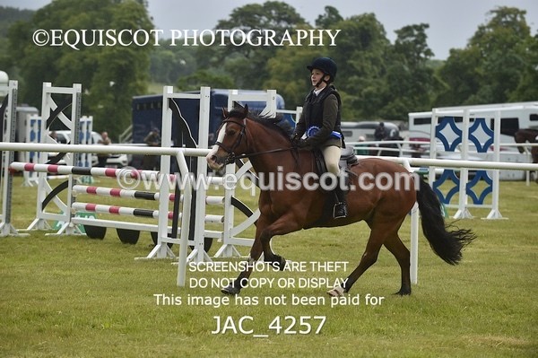 JAC_4257 - WORKING HUNTER CHAMPIONSHIP