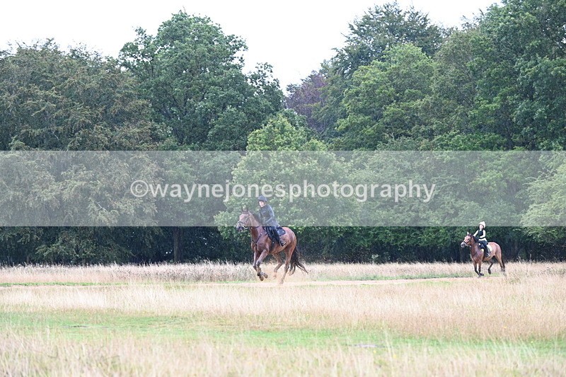 DSC_3319 - Time at Statue 13:51 to 14:55