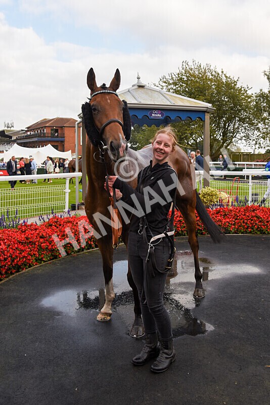 310824-Race 8-This Years Love-2989 - Race 8