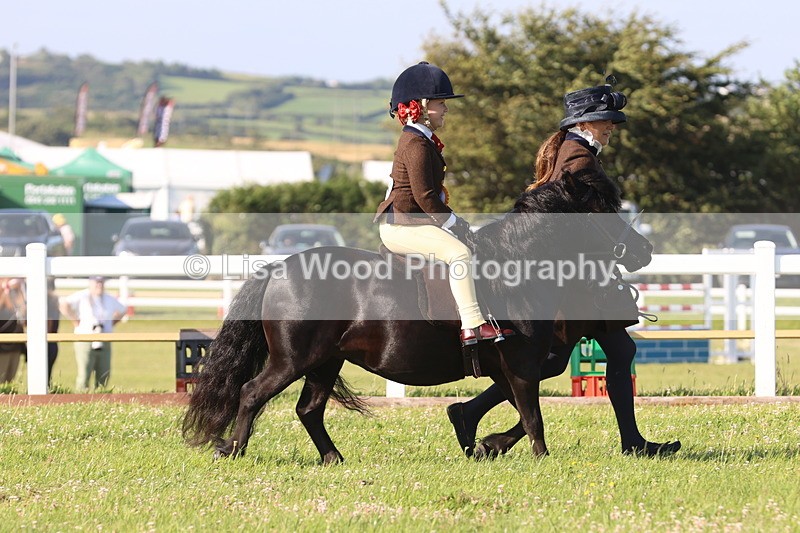 JPP_0923 - Class 16: Cornish Combination Leading Rein