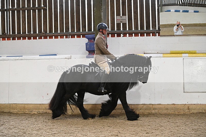 WJ7_4495 - Afternoon Champs