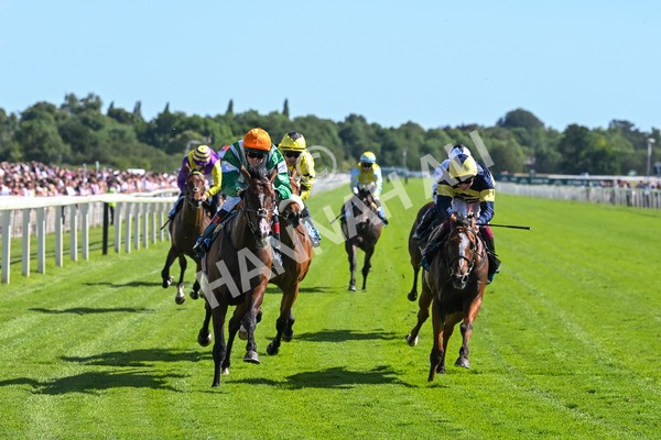 120725-Race 5-Amazing Journey-5901 - Race 5 4.15pm John Smith's Nursery Handicap