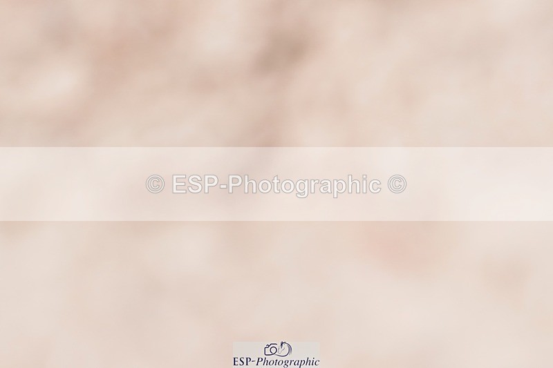 250510-124202-11312 - Cls 15 Prestige Big Star Quali  2nd Jump Off