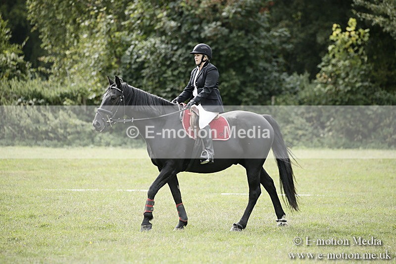 BVR080918 191 - BVRC Novice Dressage & CR 08/09/18