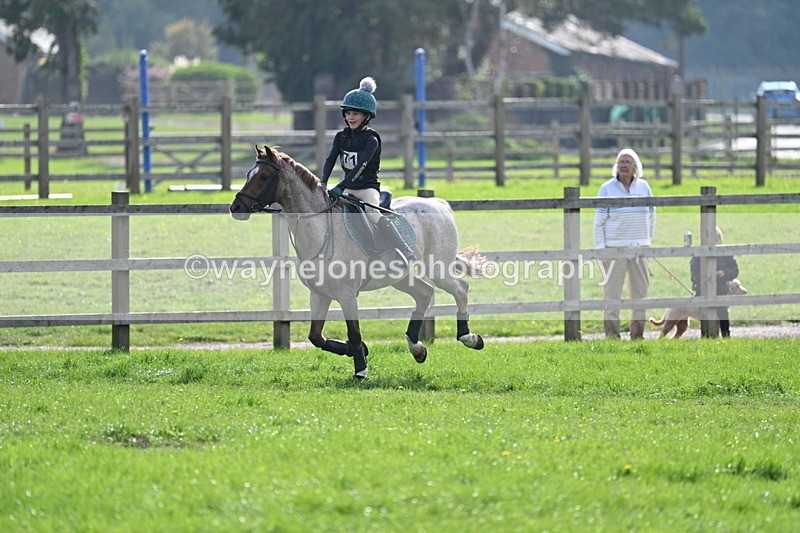 WJ7_4980 - 60cm Time 11:11 to 11:19